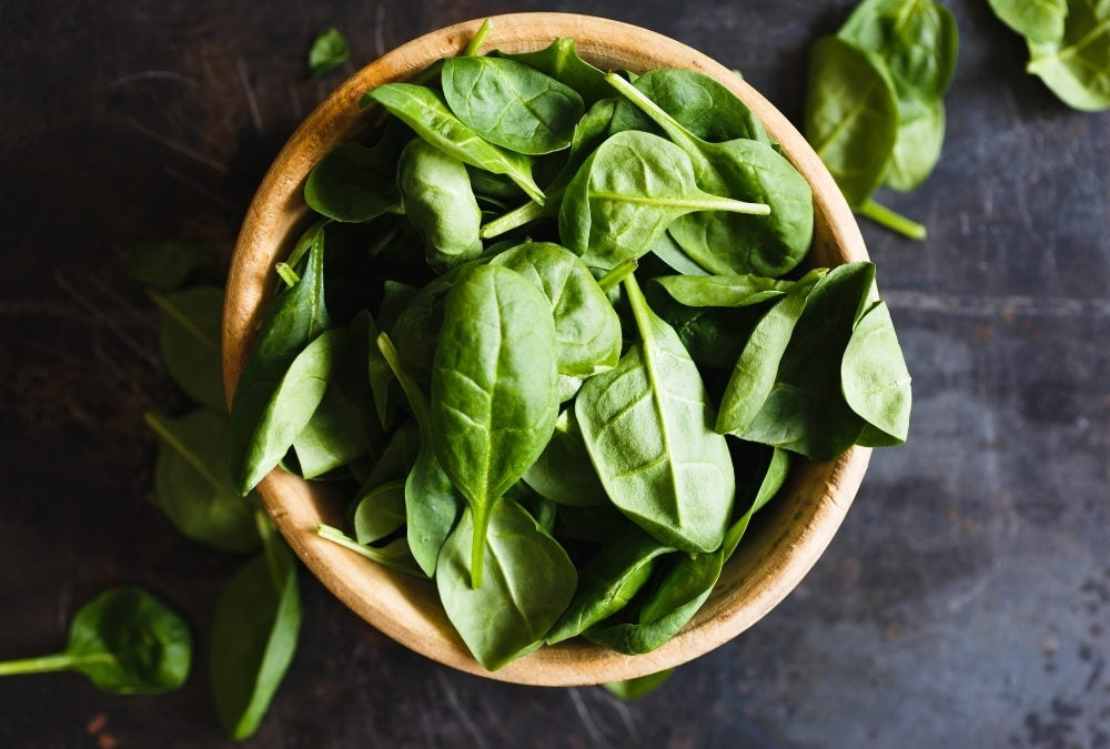 Not Your Basic Plant The Wonderful Benefits of Basil Urban Leaf