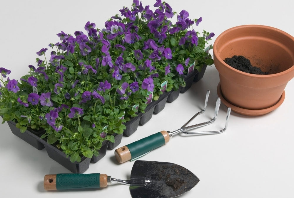 Indoor Gardening Tool Kit Essentials – What Are The Best Gardening Too –  Urban Leaf