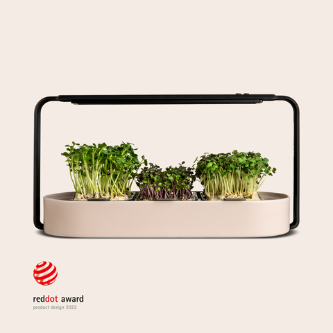Modern Microgreens Kit with Grow Light