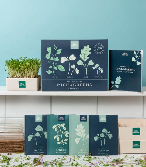 Windowsill Microgreens Kit